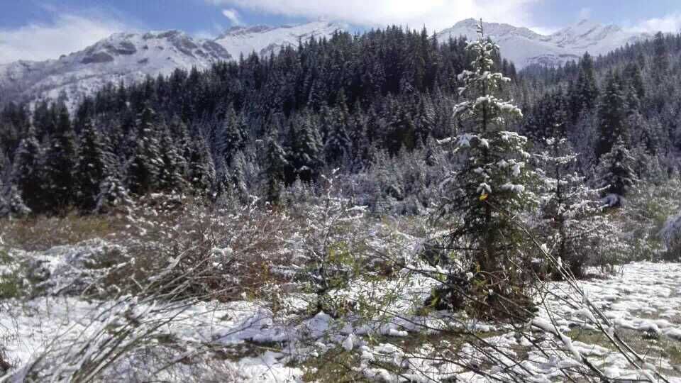 意外惊喜！黄龙川主寺喜迎降雪啦~