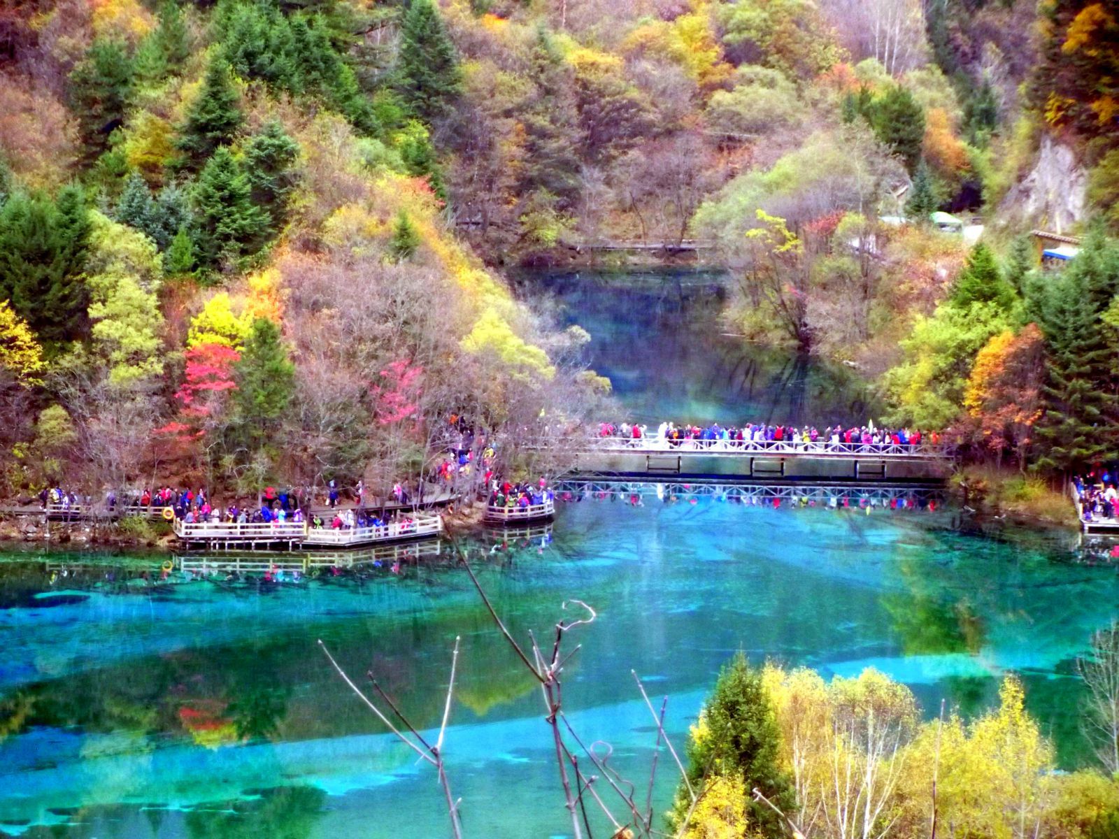 花海 风景 晚霞壁纸 - 花海 风景 晚霞手机壁纸 - 花海 风景 晚霞手机动态壁纸 - 元气壁纸