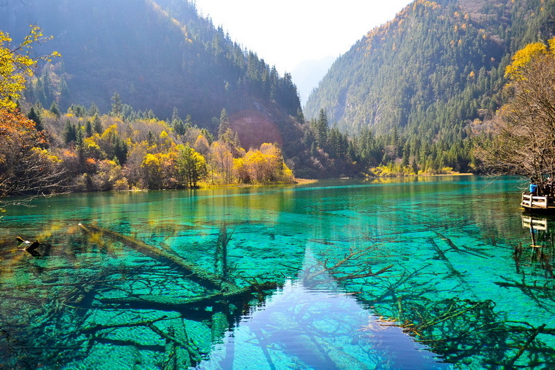 你知道九寨沟门票什么时候半价吗？而且还能二次进沟哦！